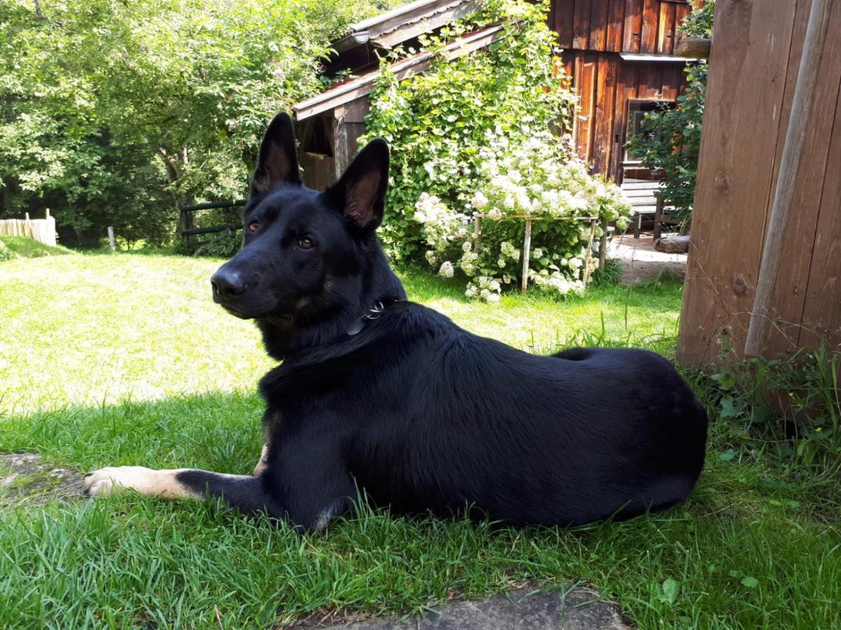 Schmidt - Und Ruhe Schwaigen