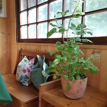 Ferienwohnung Schmidt - Natur und Ruhe Schwaigen Zimmer foto